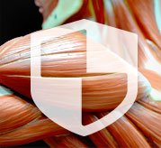 Meditech Dianabol Methandienone benefit